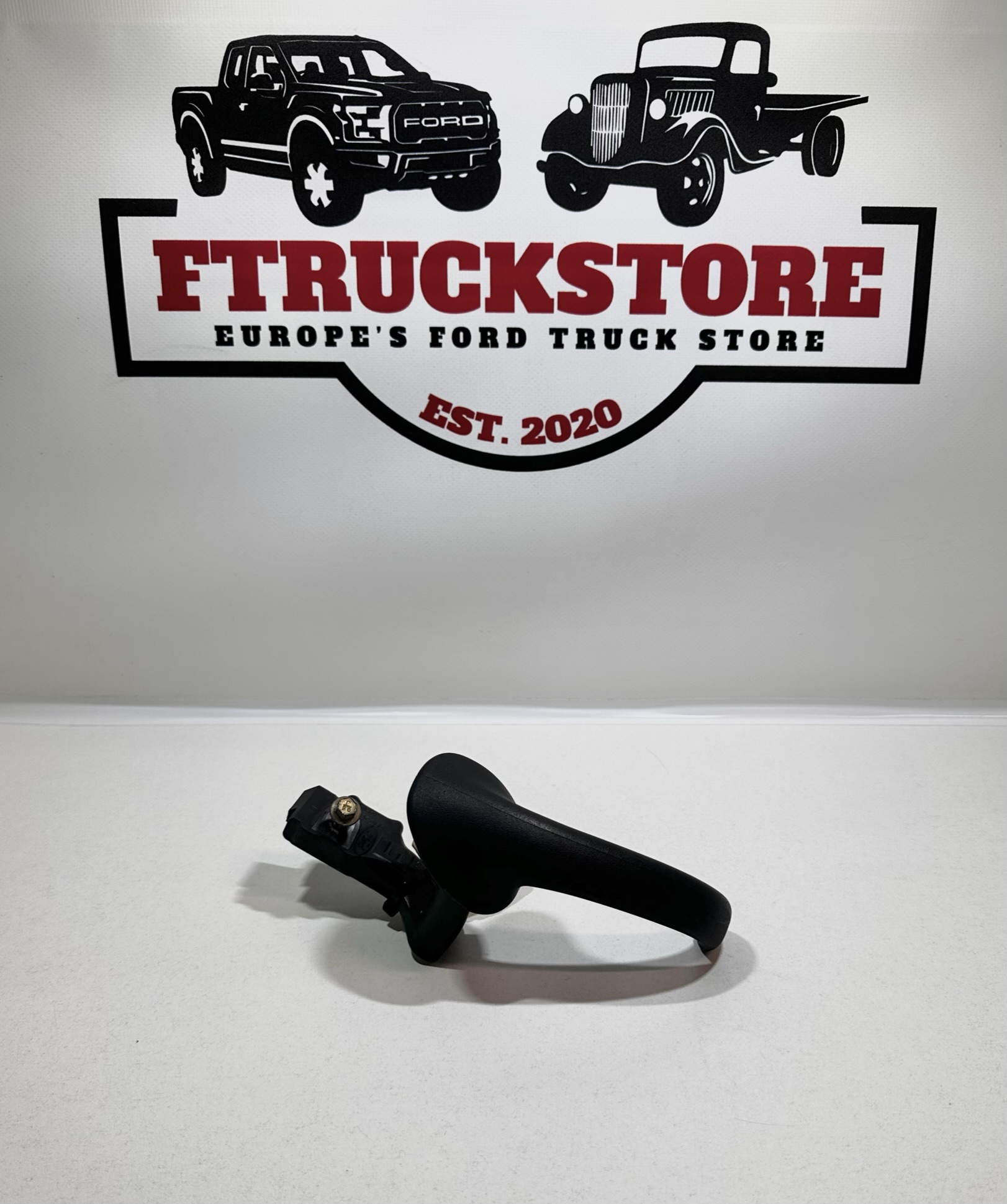 Ford Expedition 1997/2002 R.L. Door Handle