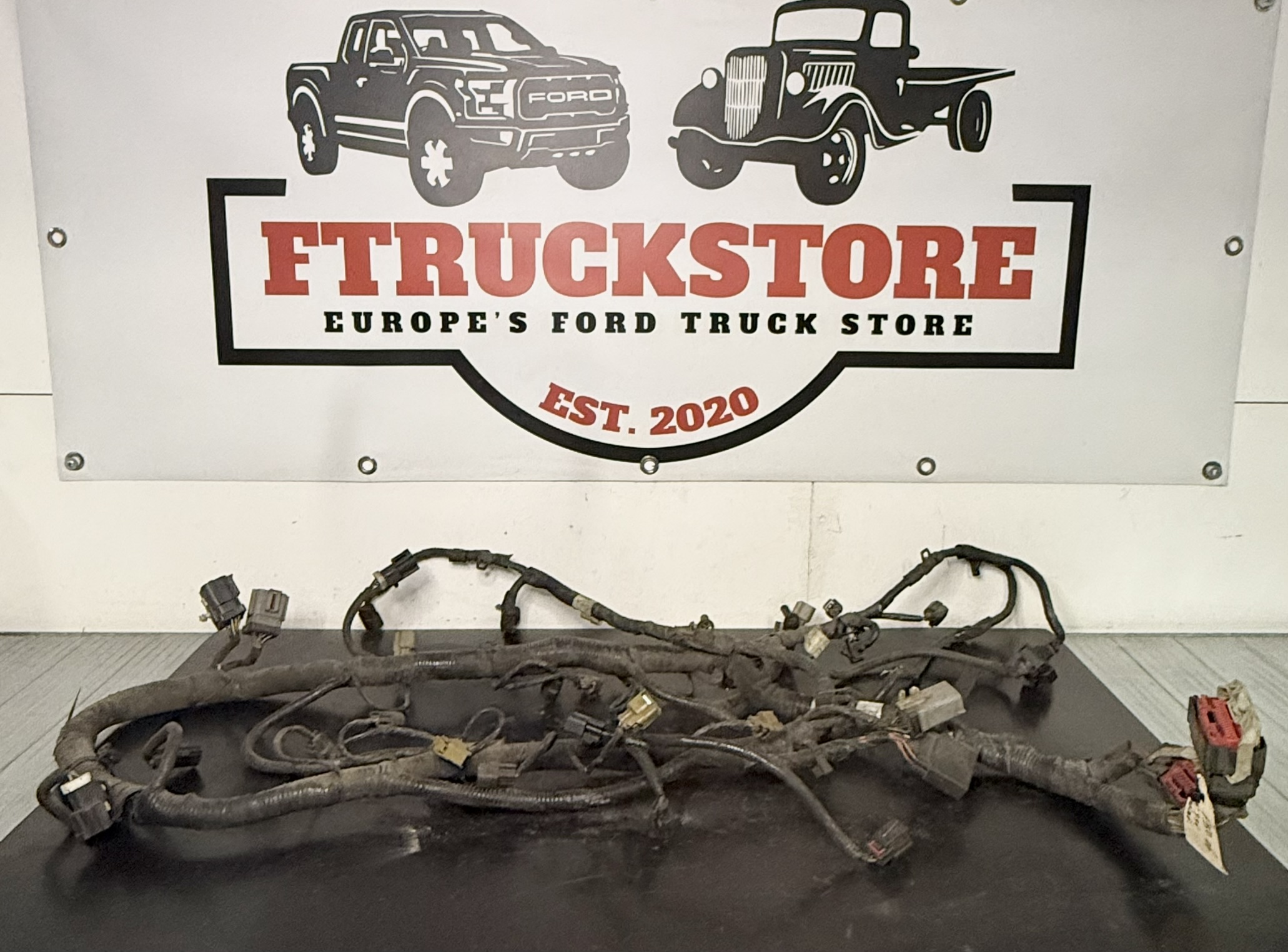 Ford F150 5.4 3V Triton 2006 Engine Harness