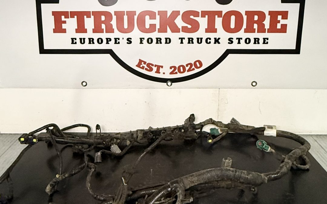 Ford F150 5.4 2V Triton PI 1999/2003 Engine Harness