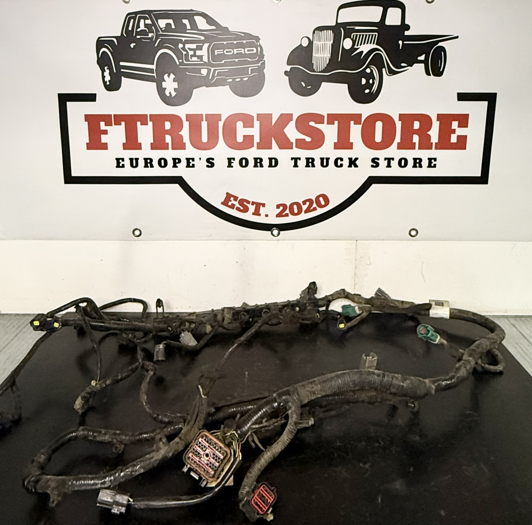 Ford F150 5.4 2V Triton PI 1999/2003 Engine Harness