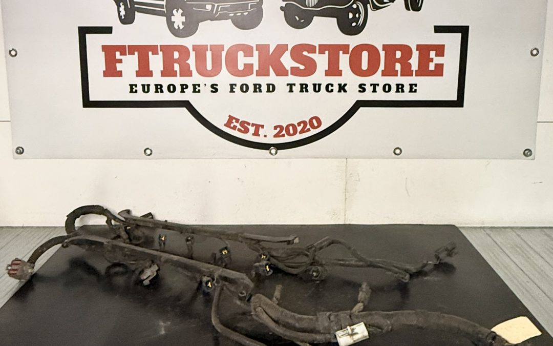 F.Serie 5.0 EFI 1992/1995 Engine Harness