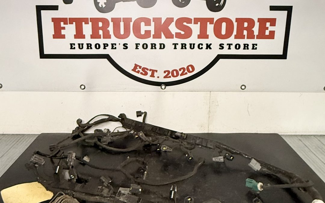 Ford Expedition 4.6 2V Triton 1999/2002 Engine Harness