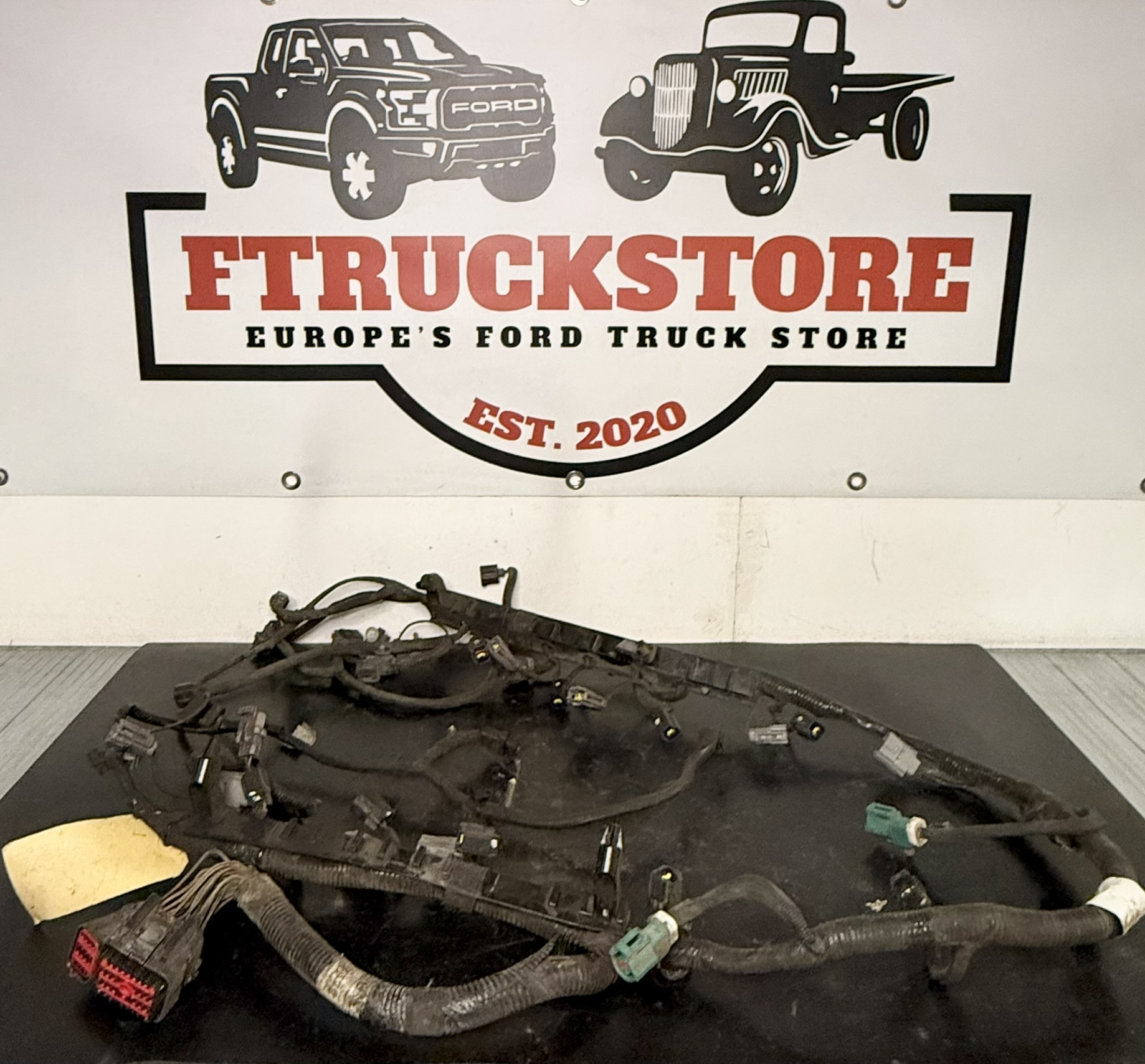 Ford Expedition 4.6 2V Triton 1999/2002 Engine Harness