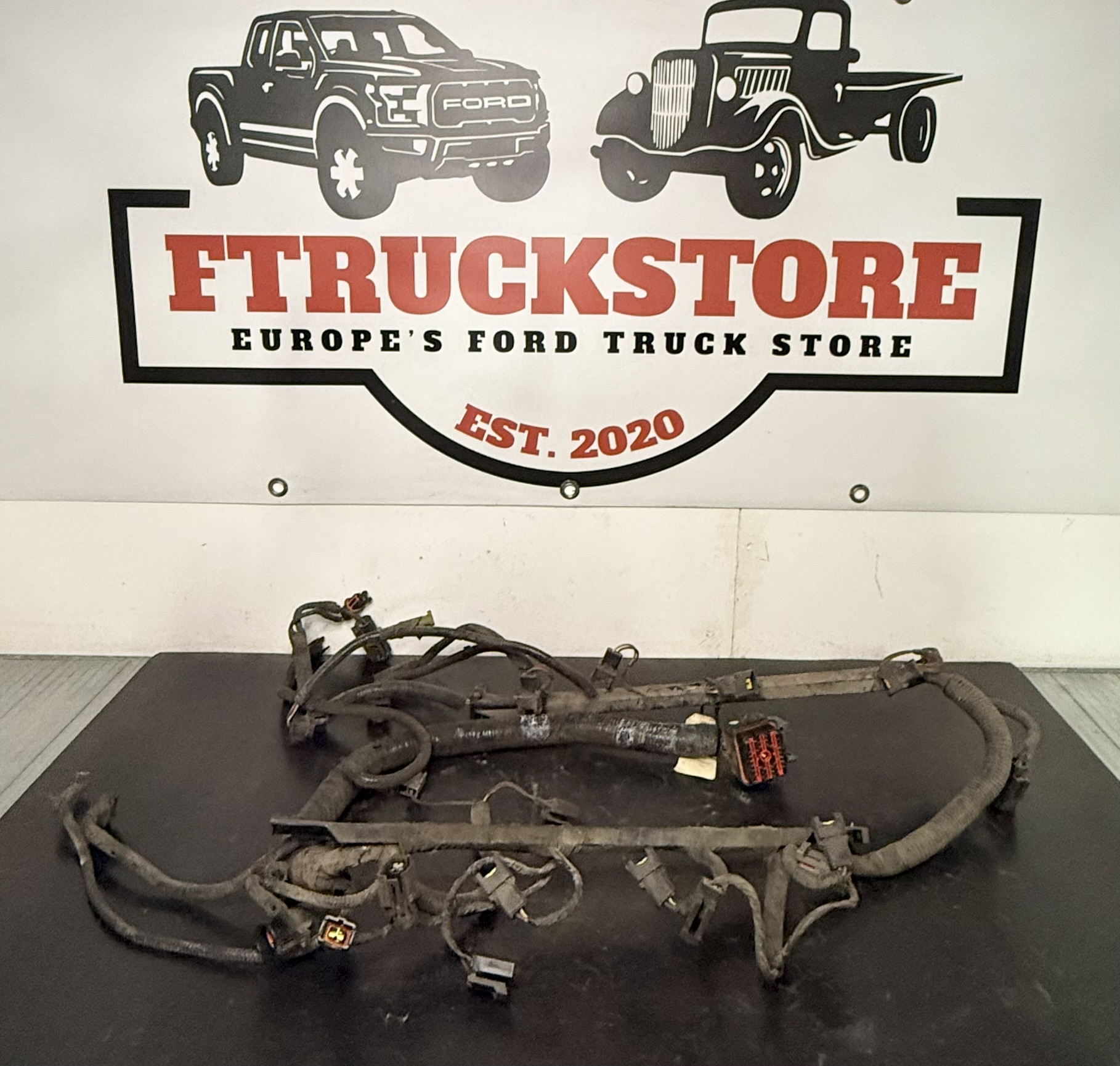 F.Serie 5.0 EFI 1994/1995 Engine Harness