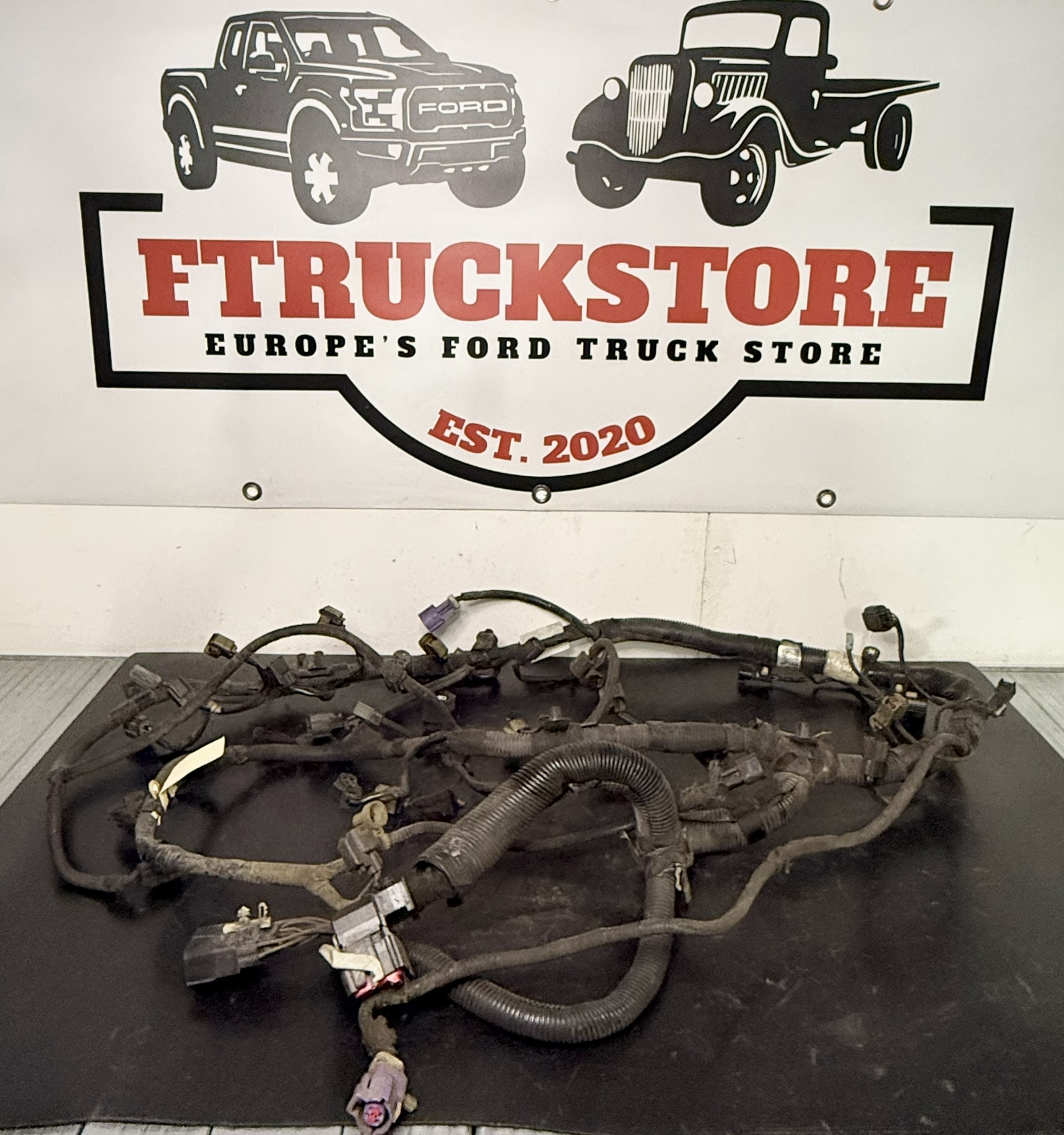 Ford F150 5.4 3V Triton 2007 Engine Harness