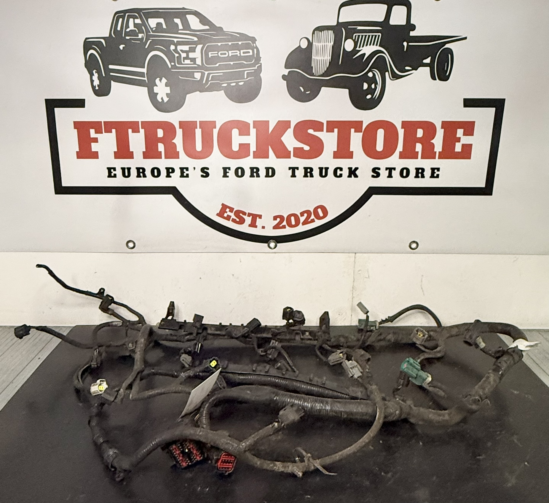 Ford F150 5.4 2V Triton 1997/1998 Engine Harness