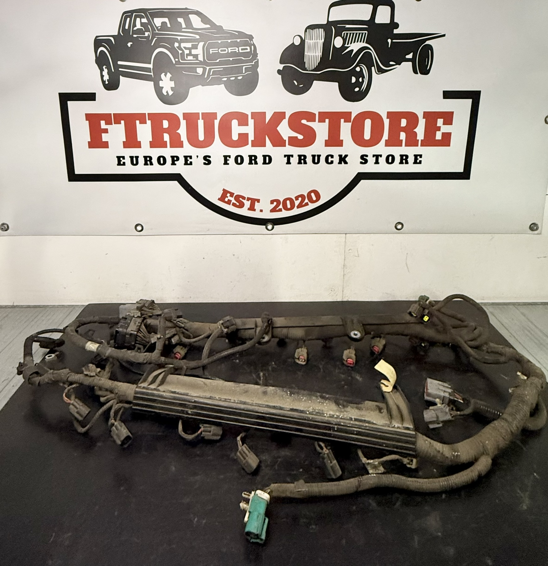 F150/Excursion 6.8 V10 Triton 2000/2003 Engine Harness