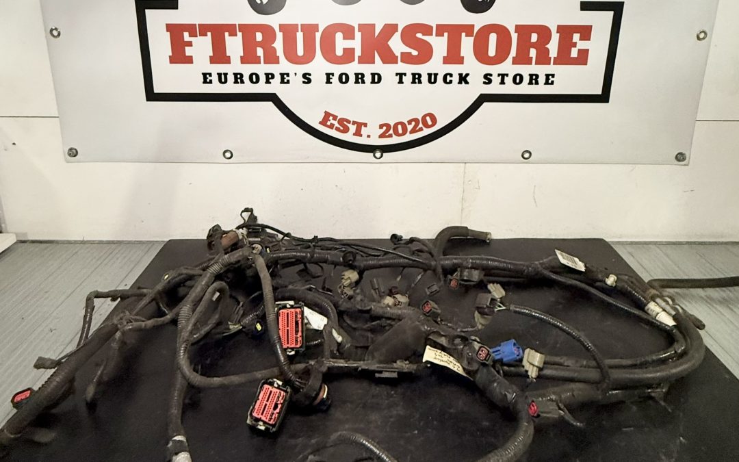 Ford F150 4.6 3V Triton 2009/2010 Engine Harness