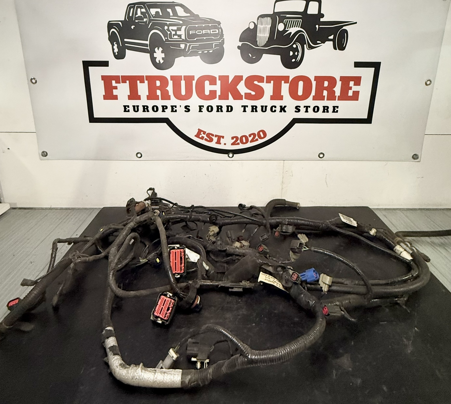 Ford F150 4.6 3V Triton 2009/2010 Engine Harness