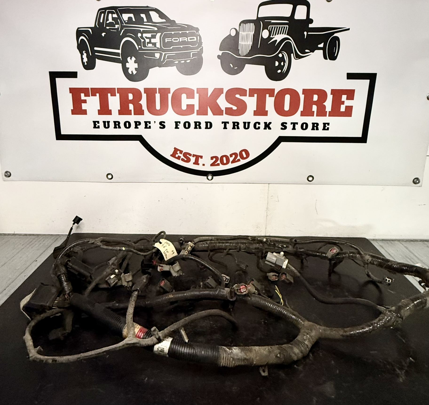 F150 4.6 2V Triton 2004/2005 Engine Harness