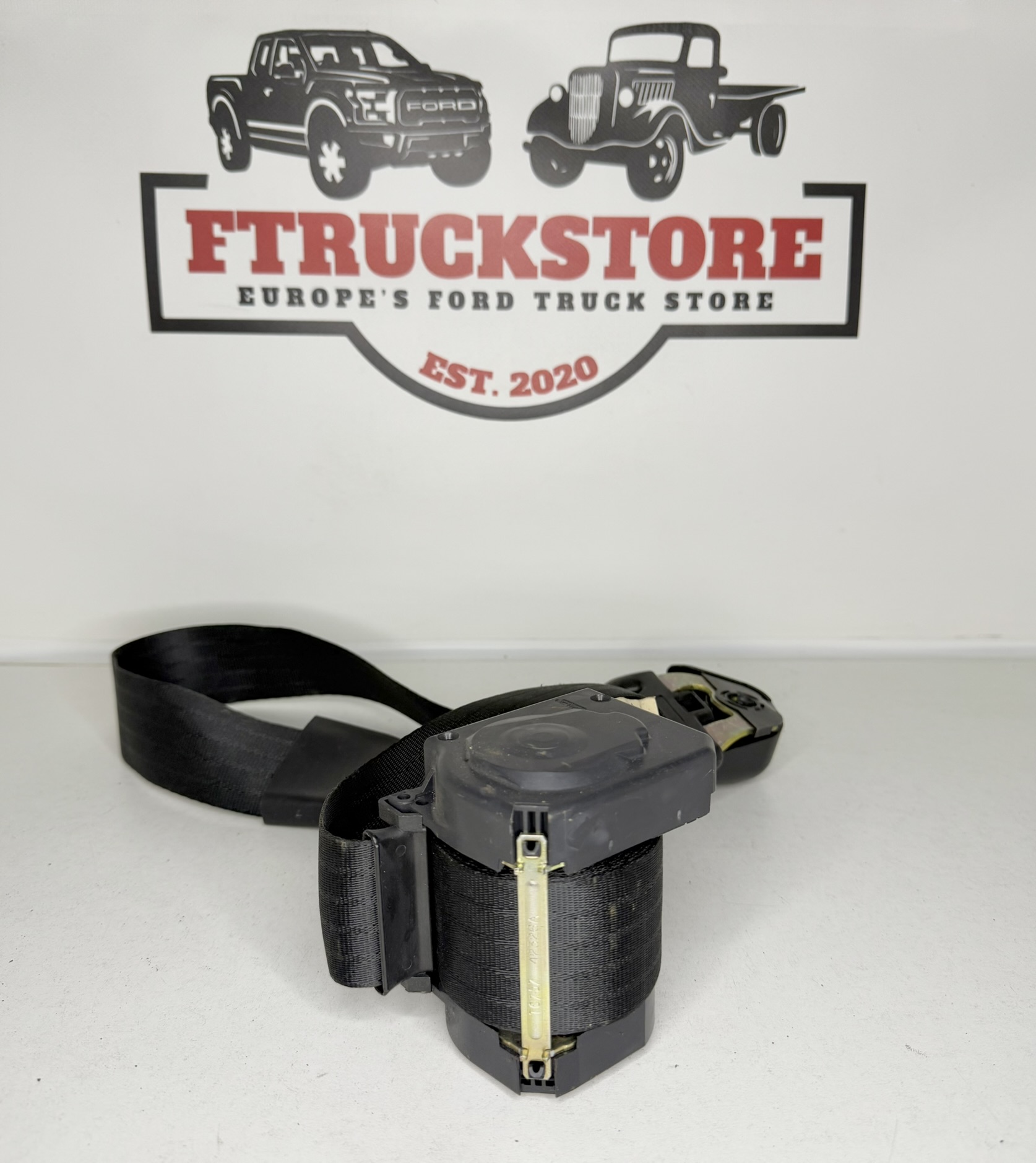 Ford F150 2003 R.R. Seat Belt