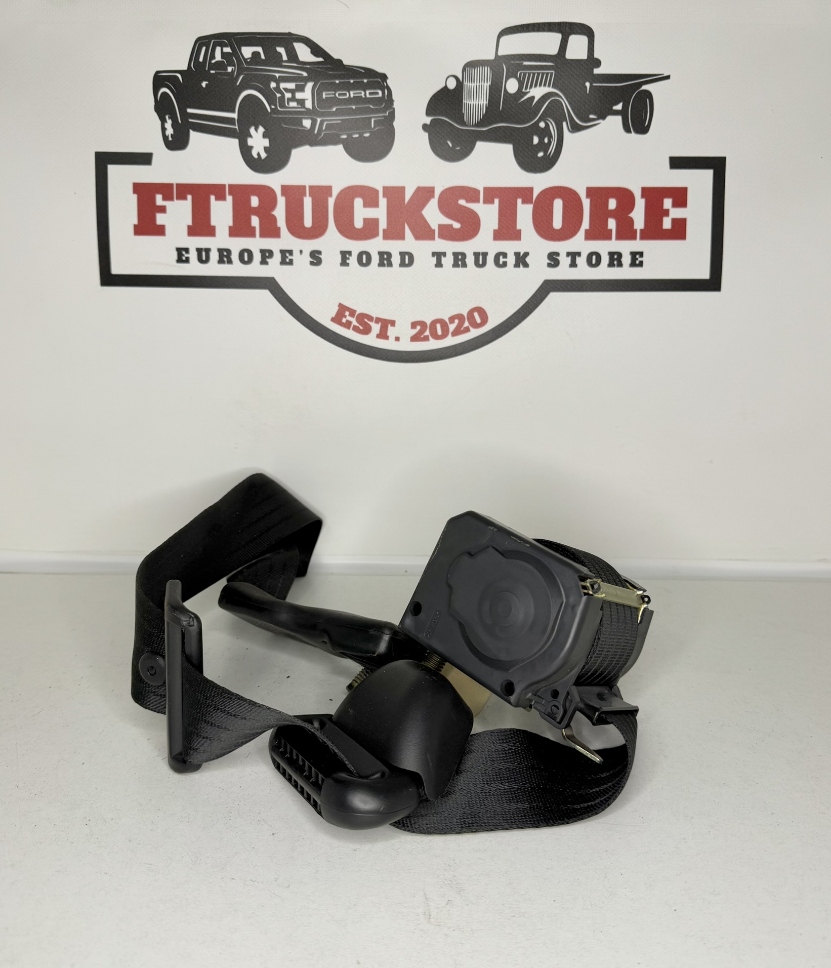 Ford F150 2003 R.L. Seat Belt