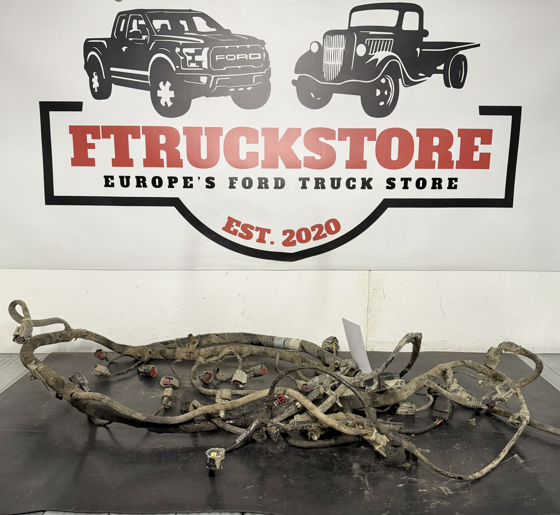 F150 4.6 2VTriton 2004/2008 Engine Harness